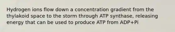 Hydrogen ions flow down a concentration gradient from the thylakoid space to the storm through ATP synthase, releasing energy that can be used to produce ATP from ADP+Pi