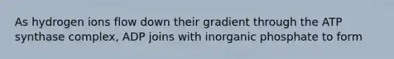 As hydrogen ions flow down their gradient through the ATP synthase complex, ADP joins with inorganic phosphate to form