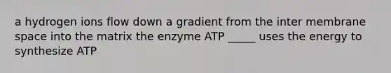 a hydrogen ions flow down a gradient from the inter membrane space into the matrix the enzyme ATP _____ uses the energy to synthesize ATP