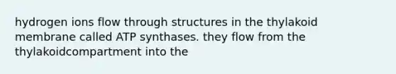 hydrogen ions flow through structures in the thylakoid membrane called ATP synthases. they flow from the thylakoidcompartment into the