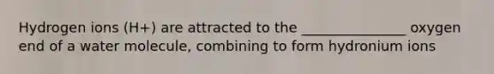 Hydrogen ions (H+) are attracted to the _______________ oxygen end of a water molecule, combining to form hydronium ions