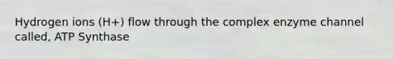Hydrogen ions (H+) flow through the complex enzyme channel called, ATP Synthase