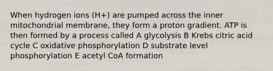 When hydrogen ions (H+) are pumped across the inner mitochondrial membrane, they form a proton gradient. ATP is then formed by a process called A glycolysis B Krebs citric acid cycle C oxidative phosphorylation D substrate level phosphorylation E acetyl CoA formation