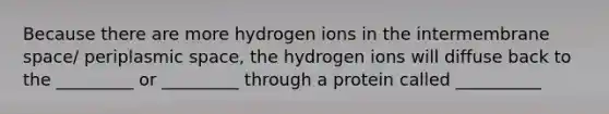 Because there are more hydrogen ions in the intermembrane space/ periplasmic space, the hydrogen ions will diffuse back to the _________ or _________ through a protein called __________