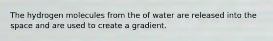 The hydrogen molecules from the of water are released into the space and are used to create a gradient.