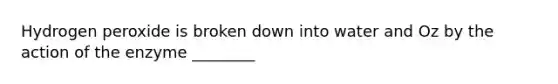 Hydrogen peroxide is broken down into water and Oz by the action of the enzyme ________