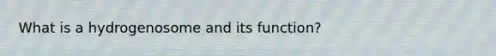 What is a hydrogenosome and its function?