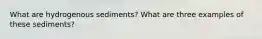 What are hydrogenous sediments? What are three examples of these sediments?