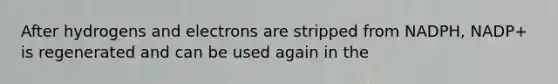 After hydrogens and electrons are stripped from NADPH, NADP+ is regenerated and can be used again in the