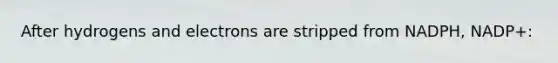 After hydrogens and electrons are stripped from NADPH, NADP+: