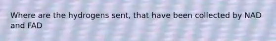 Where are the hydrogens sent, that have been collected by NAD and FAD