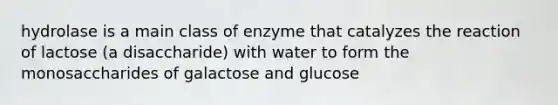 hydrolase is a main class of enzyme that catalyzes the reaction of lactose (a disaccharide) with water to form the monosaccharides of galactose and glucose