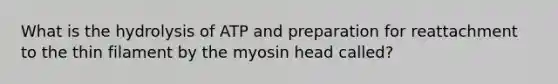 What is the hydrolysis of ATP and preparation for reattachment to the thin filament by the myosin head called?