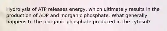 Hydrolysis of ATP releases energy, which ultimately results in the production of ADP and inorganic phosphate. What generally happens to the inorganic phosphate produced in the cytosol?