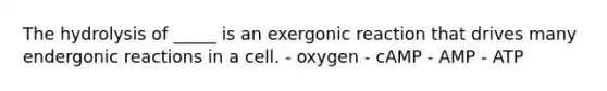 The hydrolysis of _____ is an exergonic reaction that drives many endergonic reactions in a cell. - oxygen - cAMP - AMP - ATP