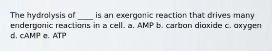 The hydrolysis of ____ is an exergonic reaction that drives many endergonic reactions in a cell. a. AMP b. carbon dioxide c. oxygen d. cAMP e. ATP