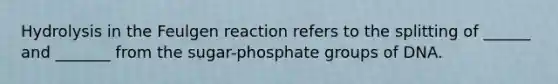 Hydrolysis in the Feulgen reaction refers to the splitting of ______ and _______ from the sugar-phosphate groups of DNA.