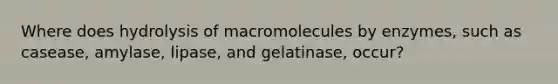 Where does hydrolysis of macromolecules by enzymes, such as casease, amylase, lipase, and gelatinase, occur?