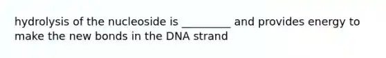 hydrolysis of the nucleoside is _________ and provides energy to make the new bonds in the DNA strand