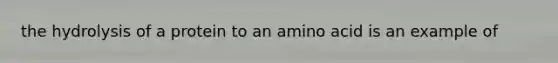 the hydrolysis of a protein to an amino acid is an example of