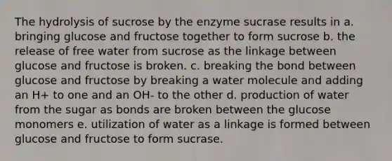 The hydrolysis of sucrose by the enzyme sucrase results in a. bringing glucose and fructose together to form sucrose b. the release of free water from sucrose as the linkage between glucose and fructose is broken. c. breaking the bond between glucose and fructose by breaking a water molecule and adding an H+ to one and an OH- to the other d. production of water from the sugar as bonds are broken between the glucose monomers e. utilization of water as a linkage is formed between glucose and fructose to form sucrase.