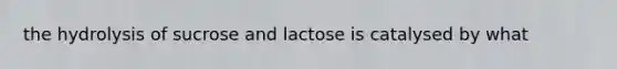 the hydrolysis of sucrose and lactose is catalysed by what