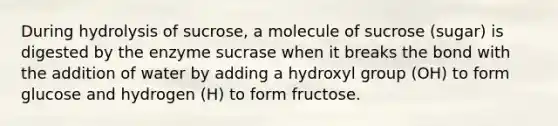 During hydrolysis of sucrose, a molecule of sucrose (sugar) is digested by the enzyme sucrase when it breaks the bond with the addition of water by adding a hydroxyl group (OH) to form glucose and hydrogen (H) to form fructose.