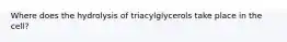 Where does the hydrolysis of triacylglycerols take place in the cell?