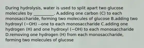 During hydrolysis, water is used to split apart two glucose molecules by __________. A.adding one carbon (C) to each monosaccharide, forming two molecules of glucose B.adding two hydroxyl (−OH) --one to each monosaccharide C.adding one hydrogen (H) and one hydroxyl (−OH) to each monosaccharide D.removing one hydrogen (H) from each monosaccharide, forming two molecules of glucose