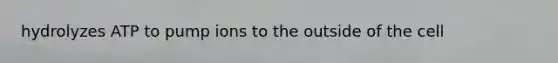 hydrolyzes ATP to pump ions to the outside of the cell