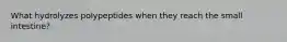 What hydrolyzes polypeptides when they reach the small intestine?