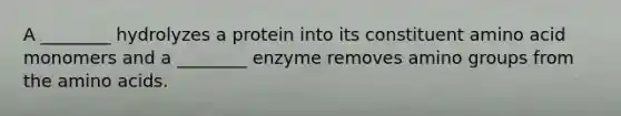 A ________ hydrolyzes a protein into its constituent amino acid monomers and a ________ enzyme removes amino groups from the <a href='https://www.questionai.com/knowledge/k9gb720LCl-amino-acids' class='anchor-knowledge'>amino acids</a>.