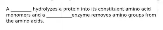 A _________ hydrolyzes a protein into its constituent amino acid monomers and a ___________enzyme removes amino groups from the amino acids.