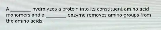 A _________ hydrolyzes a protein into its constituent amino acid monomers and a _________ enzyme removes amino groups from the amino acids.