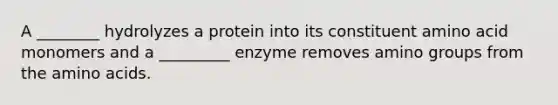 A ________ hydrolyzes a protein into its constituent amino acid monomers and a _________ enzyme removes amino groups from the amino acids.