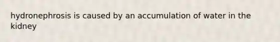 hydronephrosis is caused by an accumulation of water in the kidney