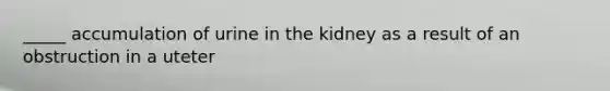 _____ accumulation of urine in the kidney as a result of an obstruction in a uteter