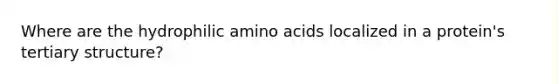 Where are the hydrophilic <a href='https://www.questionai.com/knowledge/k9gb720LCl-amino-acids' class='anchor-knowledge'>amino acids</a> localized in a protein's <a href='https://www.questionai.com/knowledge/kf06vGllnT-tertiary-structure' class='anchor-knowledge'>tertiary structure</a>?