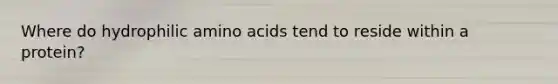 Where do hydrophilic amino acids tend to reside within a protein?