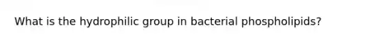 What is the hydrophilic group in bacterial phospholipids?