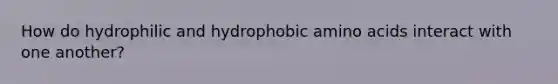 How do hydrophilic and hydrophobic amino acids interact with one another?