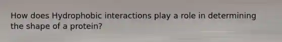 How does Hydrophobic interactions play a role in determining the shape of a protein?