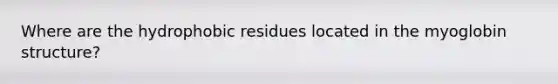 Where are the hydrophobic residues located in the myoglobin structure?