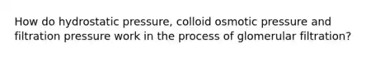 How do hydrostatic pressure, colloid osmotic pressure and filtration pressure work in the process of glomerular filtration?