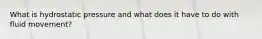 What is hydrostatic pressure and what does it have to do with fluid movement?
