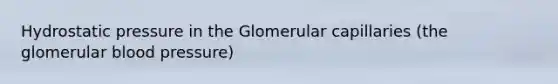 Hydrostatic pressure in the Glomerular capillaries (the glomerular blood pressure)