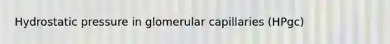 Hydrostatic pressure in glomerular capillaries (HPgc)