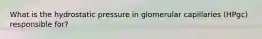 What is the hydrostatic pressure in glomerular capillaries (HPgc) responsible for?