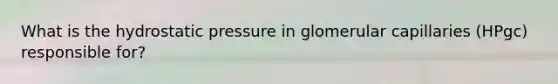 What is the hydrostatic pressure in glomerular capillaries (HPgc) responsible for?