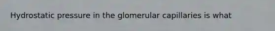 Hydrostatic pressure in the glomerular capillaries is what